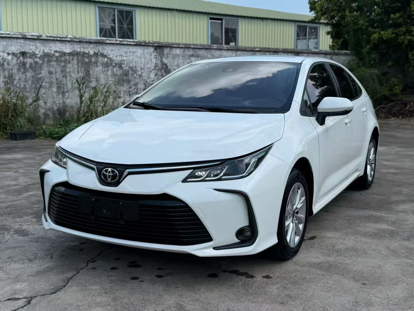 Toyota Corolla 2022 Toyota Corolla 2022 car image