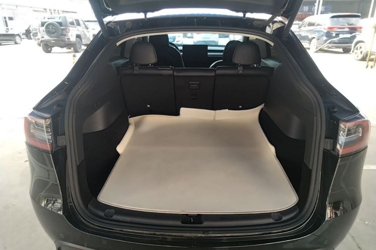 Tesla Model Y 2021 car image #19
