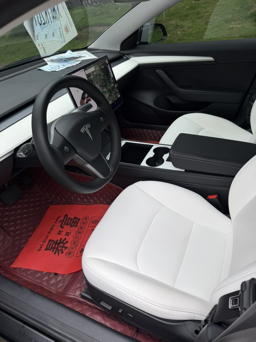 Tesla Model 3 2021 car image #4