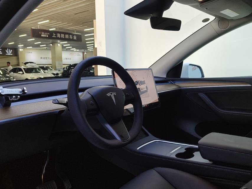 Tesla Model Y 2022 car image #13