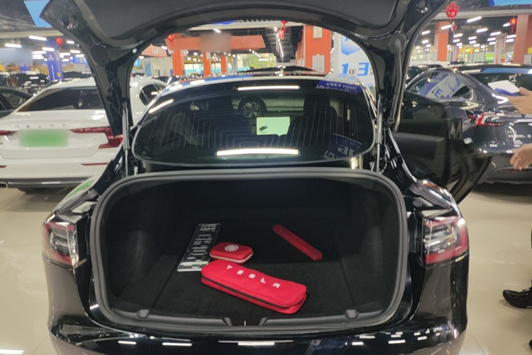 Tesla Model 3 2020 car image #19