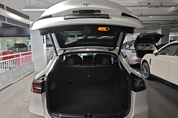 Tesla Model Y 2021 #19 Tesla Model Y 2021 car image #19