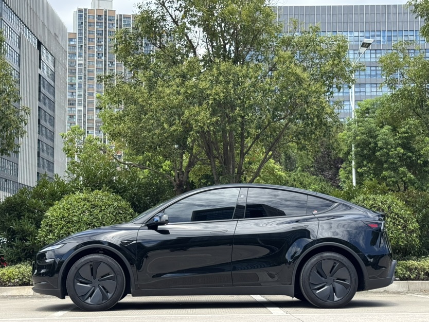 Tesla Model Y 2025 car image #2
