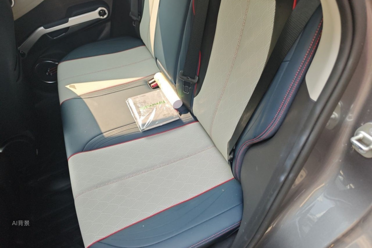 BYD Yuan Plus 2022 car image #19