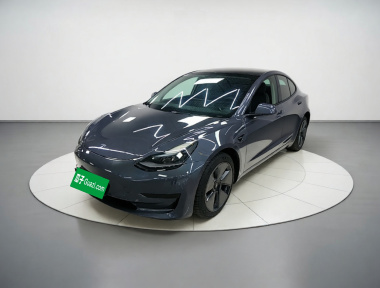 Tesla Model 3 2022 car image 