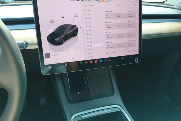 Tesla Model Y 2022 #13 Tesla Model Y 2022 car image #13