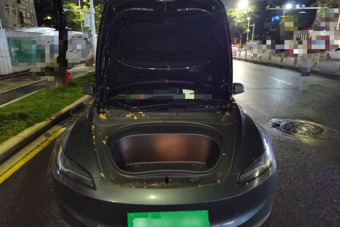 Tesla Model 3 2025 #10 Tesla Model 3 2025 car image #10