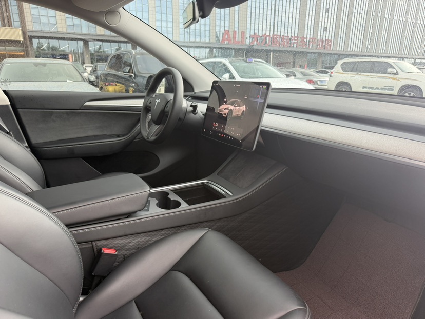 Tesla Model Y 2024 car image #6