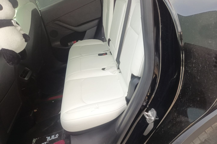 Tesla Model Y 2022 #13 Tesla Model Y 2022 car image #13