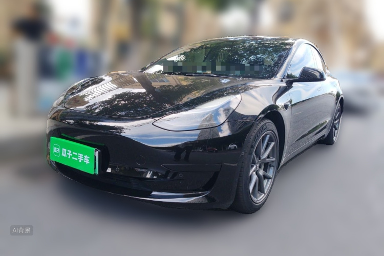 Tesla Model 3 2021 #2 Tesla Model 3 2021 car image #2