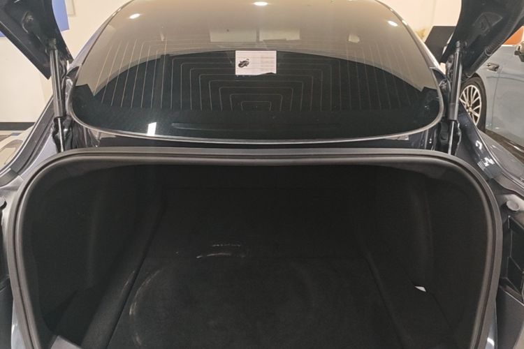 Tesla Model 3 2020 car image #19