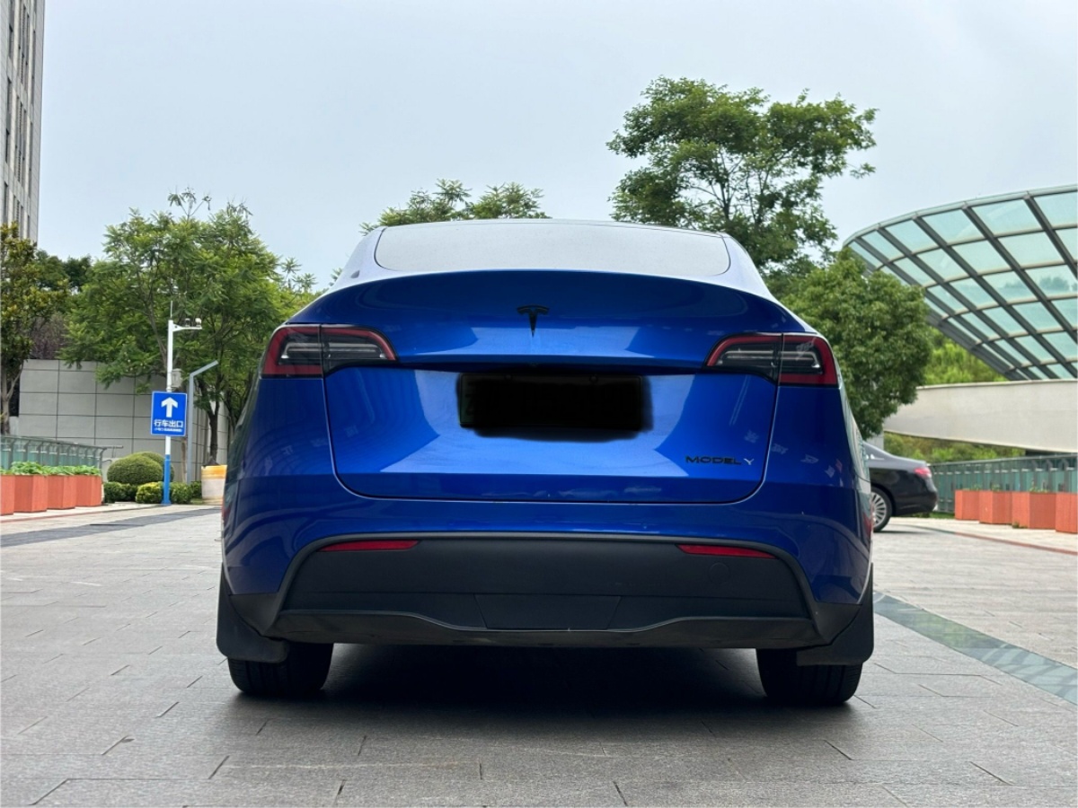 Tesla Model Y 2021 car image #9