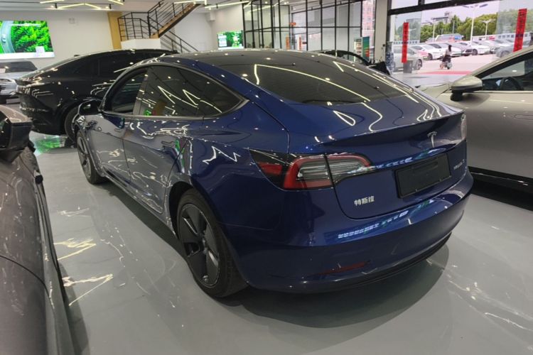 Tesla Model 3 2021 #5 Tesla Model 3 2021 car image #5