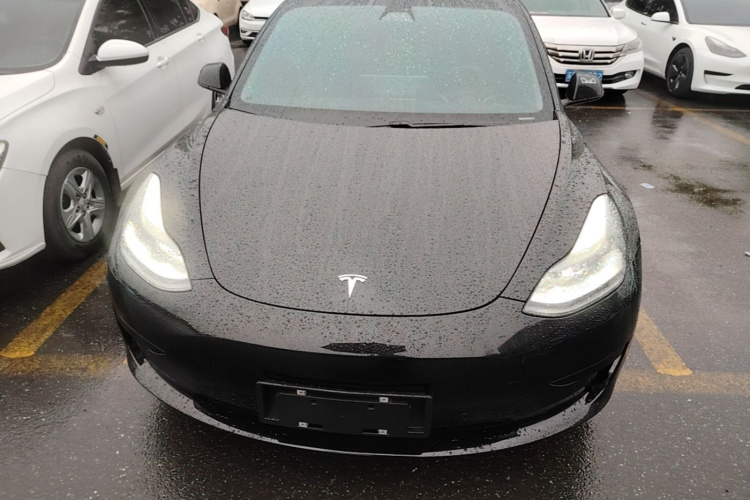 Tesla Model 3 2021 car image #3