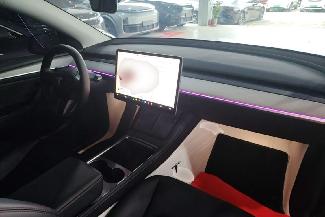 Tesla Model Y 2024 car image #15