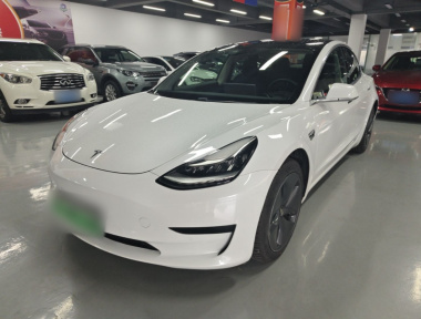 Tesla Model 3 2020 Tesla Model 3 2020 car image