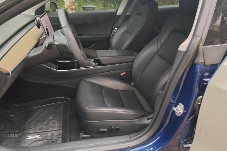 Tesla Model 3 2020 car image #17