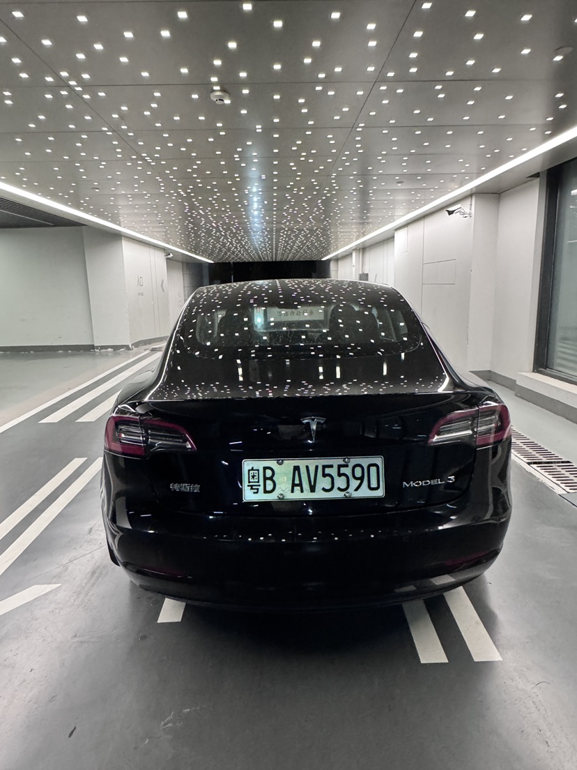 Tesla Model 3 2021 #7 Tesla Model 3 2021 imagen de coche #7