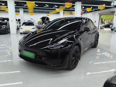Tesla Model Y 2023 Tesla Model Y 2023 car image