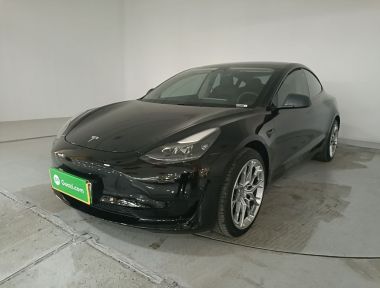 Tesla Model 3 2021 Tesla Model 3 2021 car image