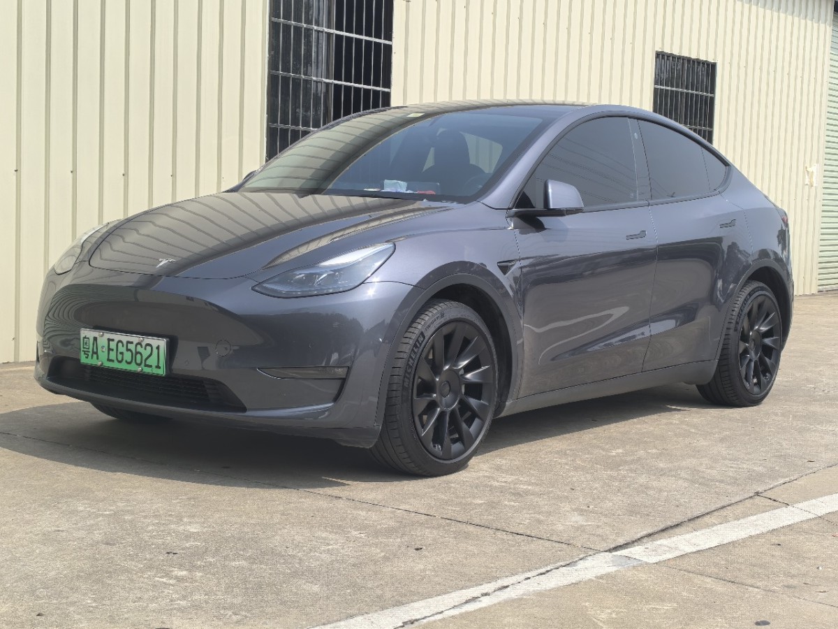 Tesla Model Y 2021 Tesla Model Y 2021 car image