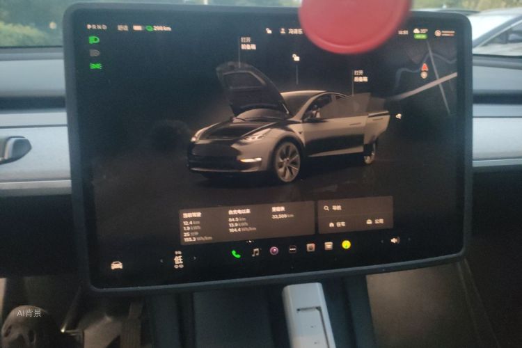 Tesla Model Y 2024 car image #13