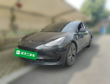 Tesla Model 3 2023 Tesla Model 3 2023 car image