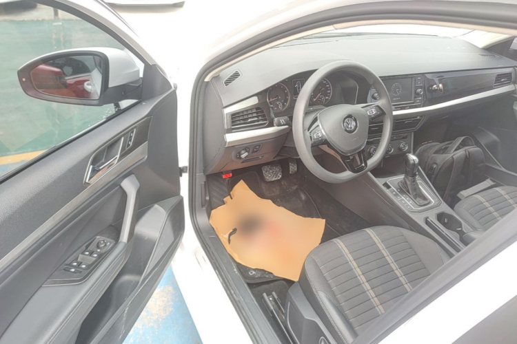 Volkswagen Lavida 2019 car image #16