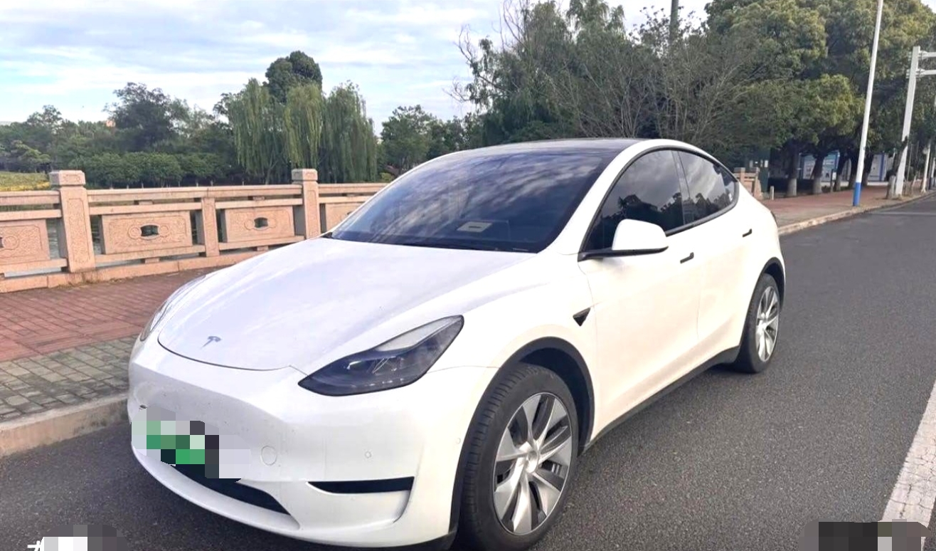 Tesla Model Y 2024 Tesla Model Y 2024 car image