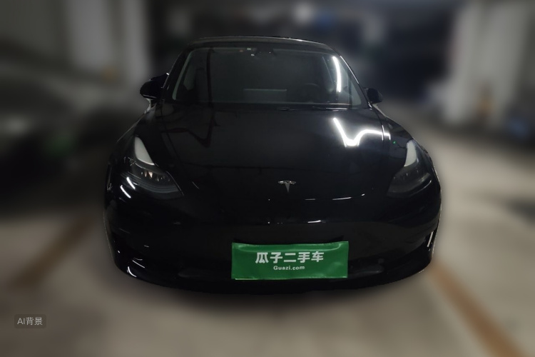 Tesla Model 3 2021 #3 Tesla Model 3 2021 car image #3