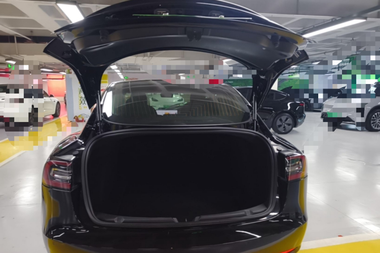Tesla Model 3 2020 #21 Tesla Model 3 2020 car image #21