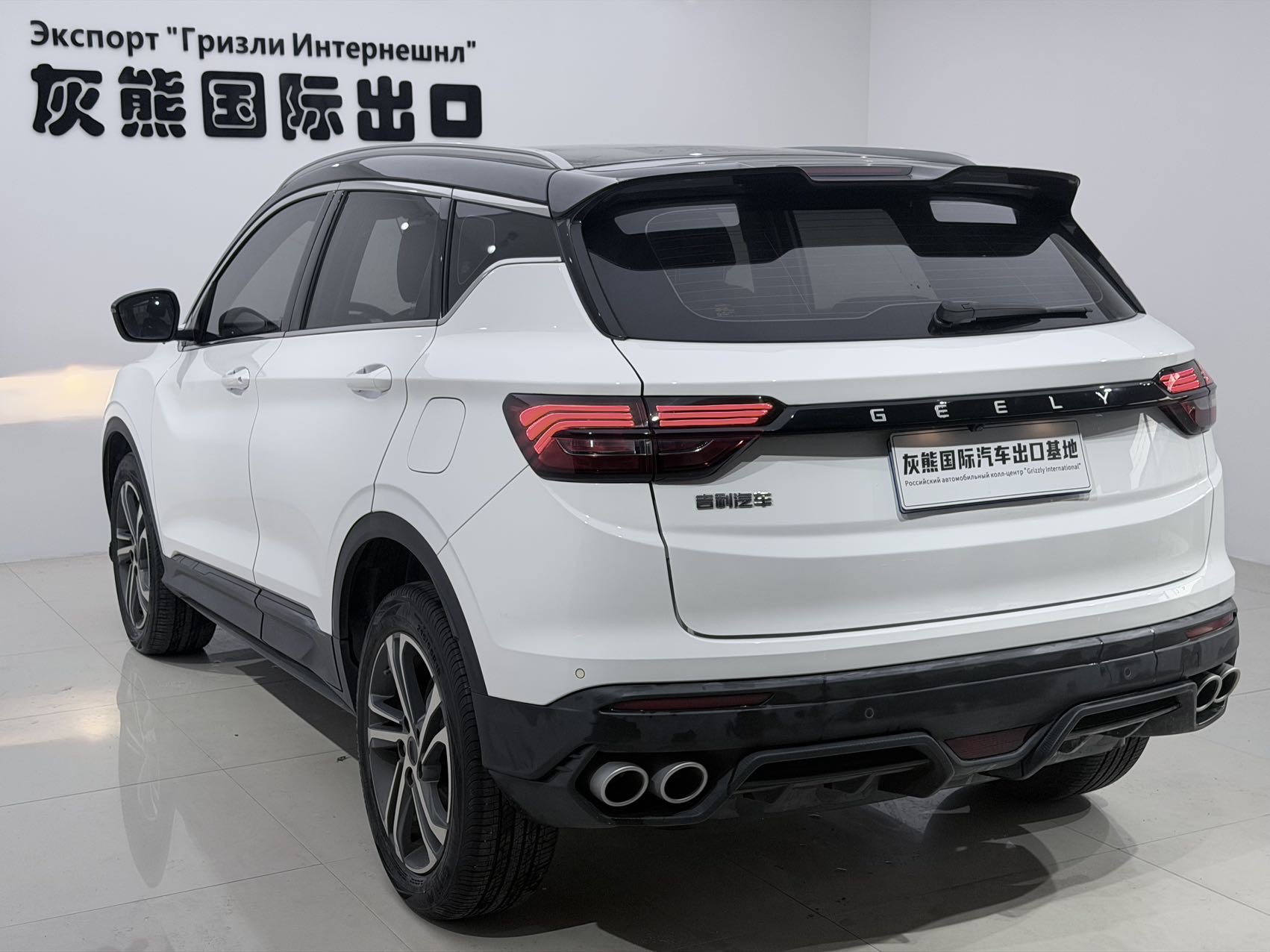 GEELY Coolray 2021 image de voiture #6