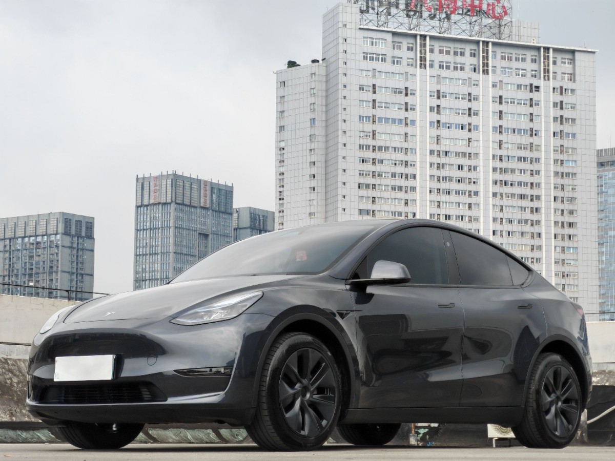 Tesla Model Y 2024 Tesla Model Y 2024 car image