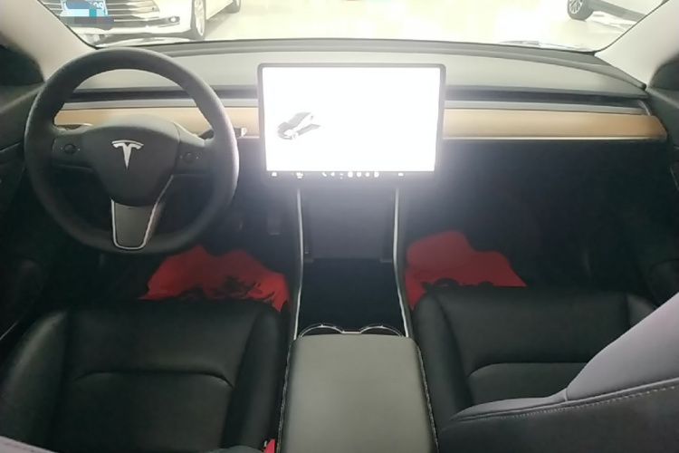 Tesla Model 3 2020 #11 Tesla Model 3 2020 car image #11