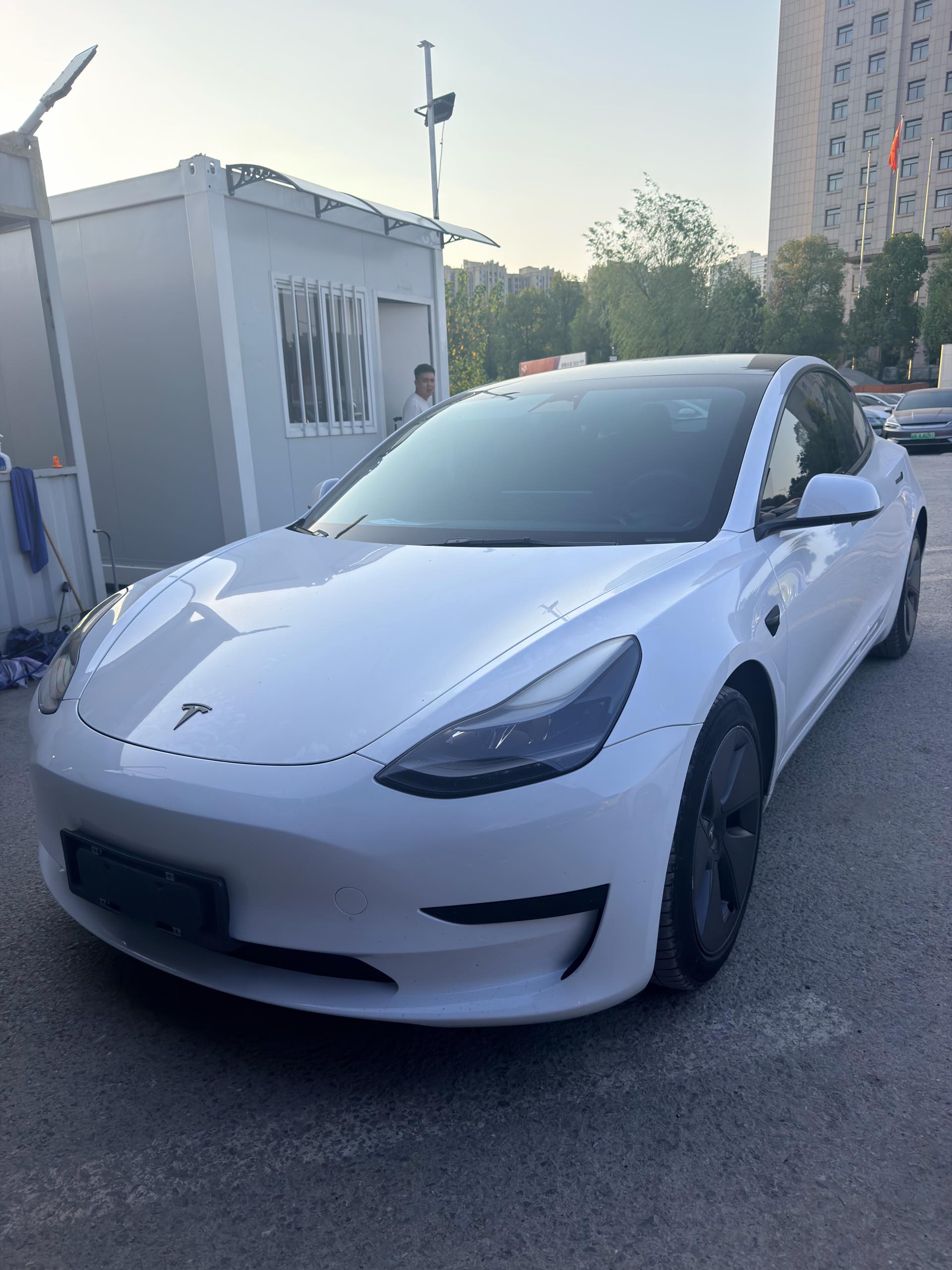 Tesla Model 3 2022 car image 