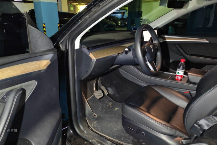 Tesla Model Y 2023 imagen de coche #18