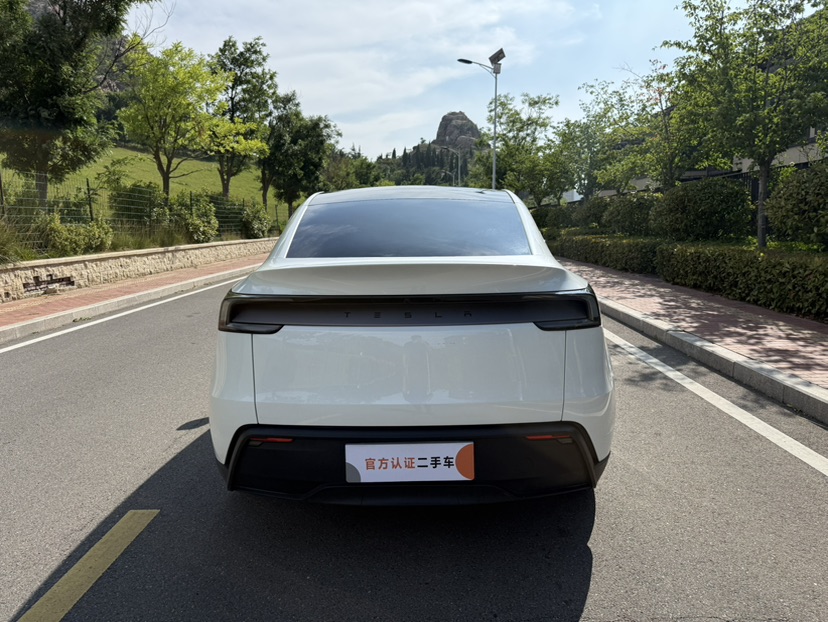 Tesla Model Y 2025 immagine di auto #5