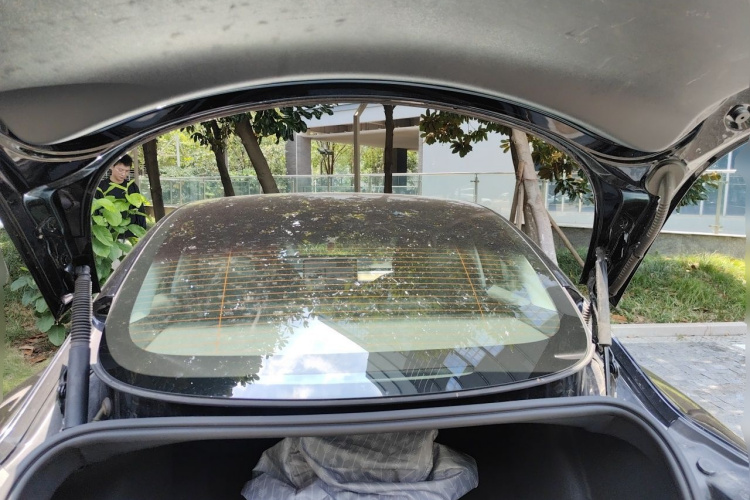 Tesla Model 3 2021 #17 Tesla Model 3 2021 immagine di auto #17