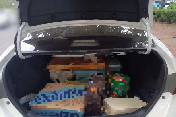 Toyota Corolla 2015 car image #21
