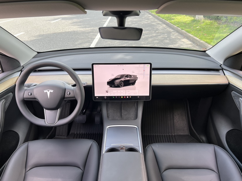 Tesla Model Y 2023 car image #8