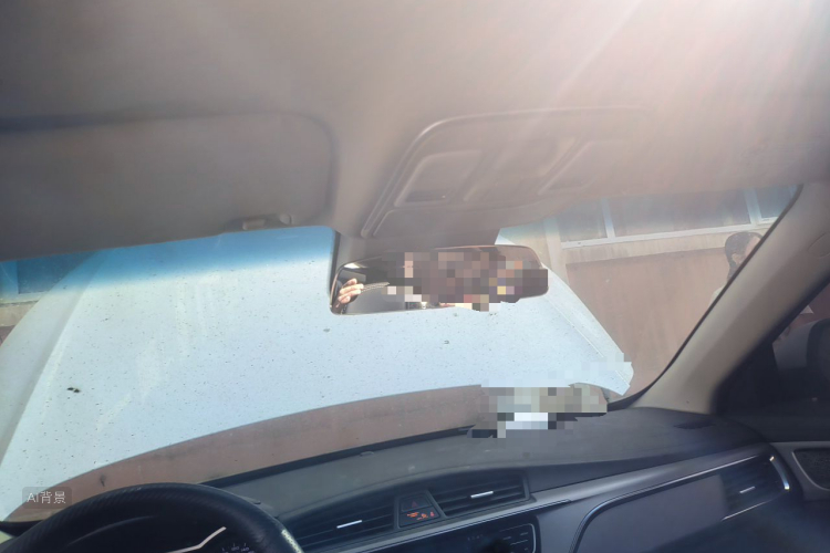 GEELY Emgrand GL 2019 car image #20