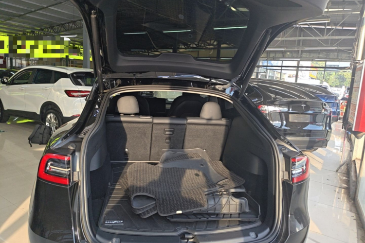 Tesla Model Y 2023 #19 Tesla Model Y 2023 car image #19