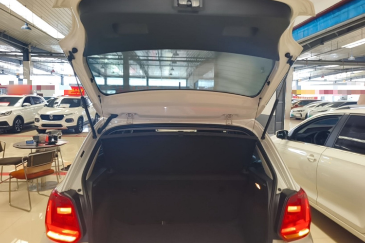 Volkswagen Polo 2016 car image #19
