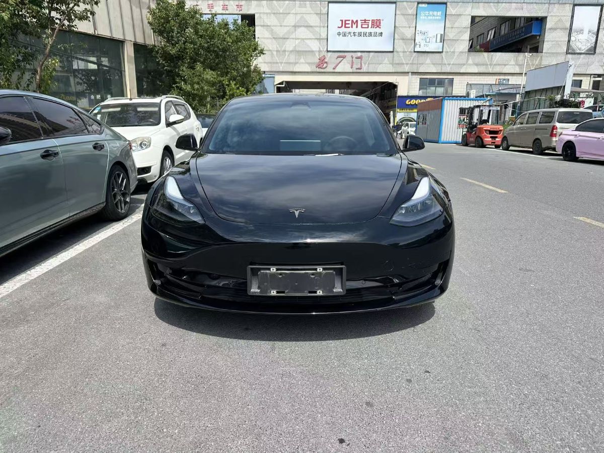Tesla Model 3 2023 #2 Tesla Model 3 2023 car image #2