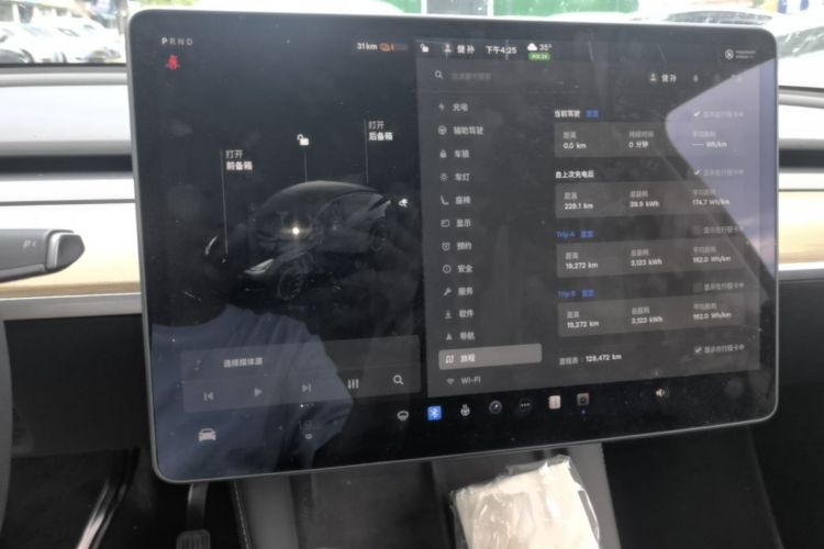 Tesla Model Y 2021 car image #13