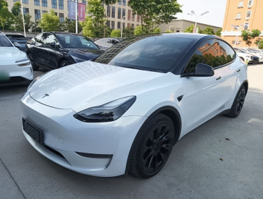 Tesla Model Y 2021 Tesla Model Y 2021 car image