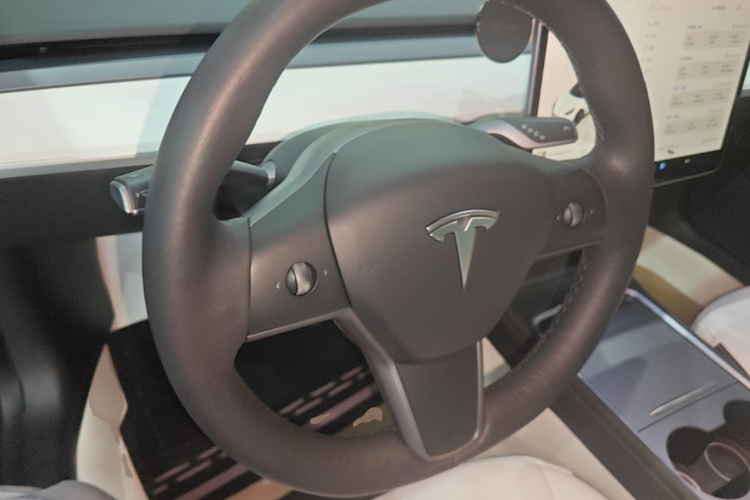 Tesla Model 3 2022 #11 Tesla Model 3 2022 car image #11