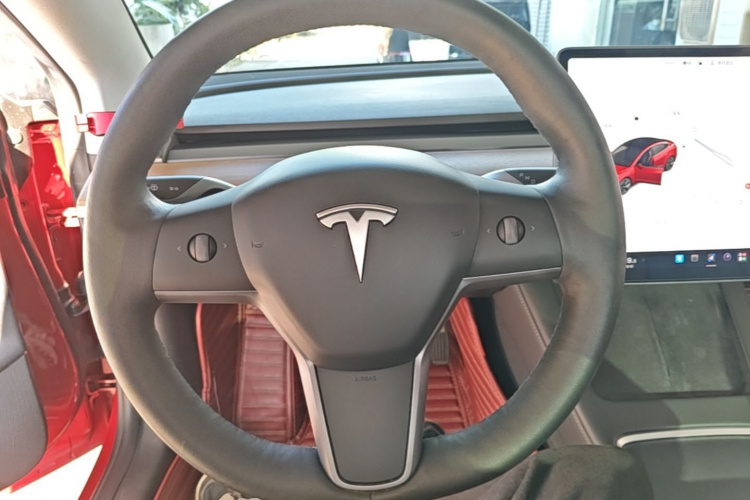 Tesla Model 3 2021 #25 Tesla Model 3 2021 صورة سيارة #25