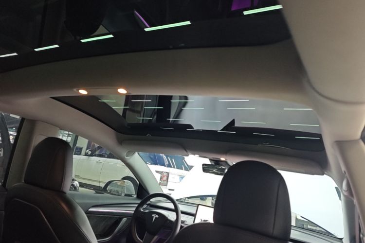 Tesla Model 3 2021 #18 Tesla Model 3 2021 car image #18