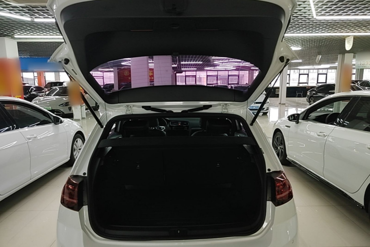 Volkswagen Golf 2018 car image #19